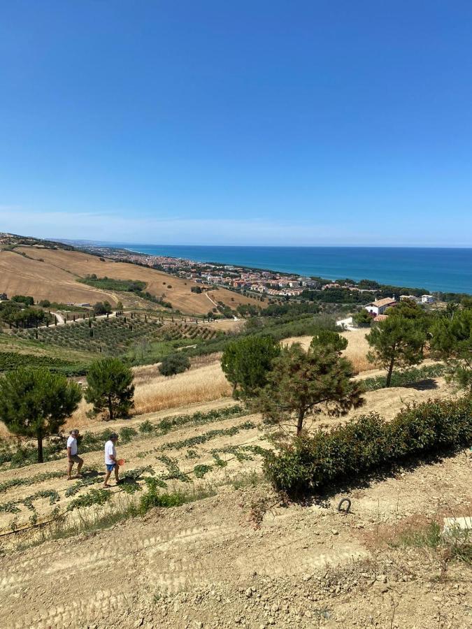 Casale Adriatico B&B Pineto Kültér fotó